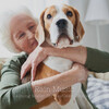 Essential Nature Sounds、Dog Calming Music、Calming Cat Music - Anthems of Summertime