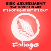 Risk Assessment、Monica Blaire - It’s Not Right But It’s Okay (Vocal Mix)