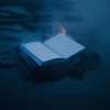 burbank - the books you never read