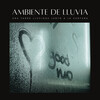 Lluvia Relajante para Dormir、Relajante Musica、Música para Centros Comerciales - Forma Libre