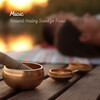 Binaural Beats Focus、Brainwave Samples、Lovemotives - 3.2Hz Healing Rem Sleep