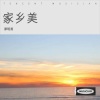 谭明勇 - 家乡的月亮