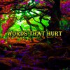 DJ Weirdo - Words That Hurt