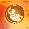 TOX1C.、Eytan Peled、Asher Swissa - Tomorrow (Remix)