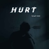 NewJeans《Hurt (Sein9变速变调版)》[MP3/LRC]