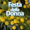 Marina Rei - Primavera (You To Me Are Everything)