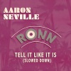 Aaron Neville、George Davis《Tell It Like It Is (Slowed Down)》[MP3/LRC]