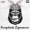 Alguien、Saikes - Recopilando Experiencias (Explicit)