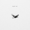 Phillipo Blake - Muddy Sky