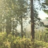 Kina Grannis - Yellow