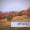 y回忆g金曲 - 我曾用心爱着你