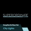 Nae:Tek、DeepNorth《City Lights》[MP3/LRC]