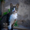 Music For Cats、Music for Relaxing Cats、Cat Music Therapy - Doing Fine
