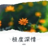 老柯 - 亲爱的你在想我吗