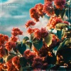 42s_Ten、Hilarity Leap Records、Diary Music - I'll be at your side, as i promised.