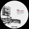 Zwick - Fleeting Future