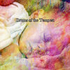 Rain Sounds & White Noise - Fierce Storm