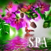 Espace Detente - Musique massage