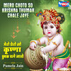Pamela Jain - Mero Choto So Krishana Thumak Chale Jaye