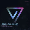 Analog Jungs - Futura