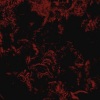 Kinsen - Dangerous