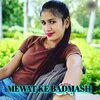 Mosam Singer - MEWAT KE BADMASH