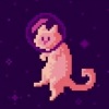 Kinsen - Astrovip