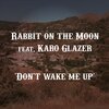 Rabbit on the Moon、Karo Glazer - Don’t Wake Me Up