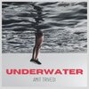 Amit Trivedi - Underwater