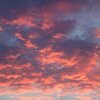 J3llybr34d - Pink (Explicit)