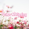 Vladimir Ashkenazy、Royal Philharmonic Orchestra《2. Spring (with fade into 