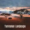 African Music Drums Collection - Healing Dance from Africa