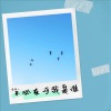 咩咩 - 不必在乎我是谁 (Demo)