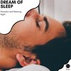Platonic Melody - Healing Supper (Original Mix)