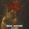 Ibiza Son《Techno Supporter (Original Mix)》[MP3/LRC]