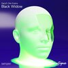 GarryG、Den Kustov - Black Widow