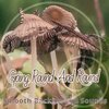 Smooth Background Sounds、Rens Ouburg、Pascal Van Boxel、Tony Van Gils、Ton Van Gils - Going Round and Round