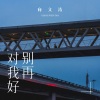 向文涛 - 别再对我好