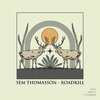 Sem Thomasson、Ali Shirazinia - Roadkill (Radio Edit)