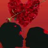 Acuario - Pure Love
