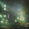 林水瑶 - 落拓