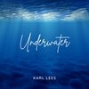 Karl Lees - Brave Barkers