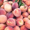 Patio - Peaches