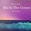 Bassem Daouk、SLOE - She is the Ocean (Sloe Remix)