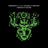 Amberoom、Blakkat、Babygirl - Forces Of Nature (Extended)