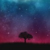 Ash Cook、Ashley Cook、Grrim - Dreams