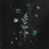 Leaving Laurel - better days will come