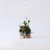 Amen Music、Nate Diaz - Blood Of The Lamb (Live)