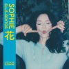 Sophie Ellis-Bextor《Lost In The Sunshine》[MP3/LRC]