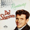 Del Shannon《Runaway》[MP3/LRC]